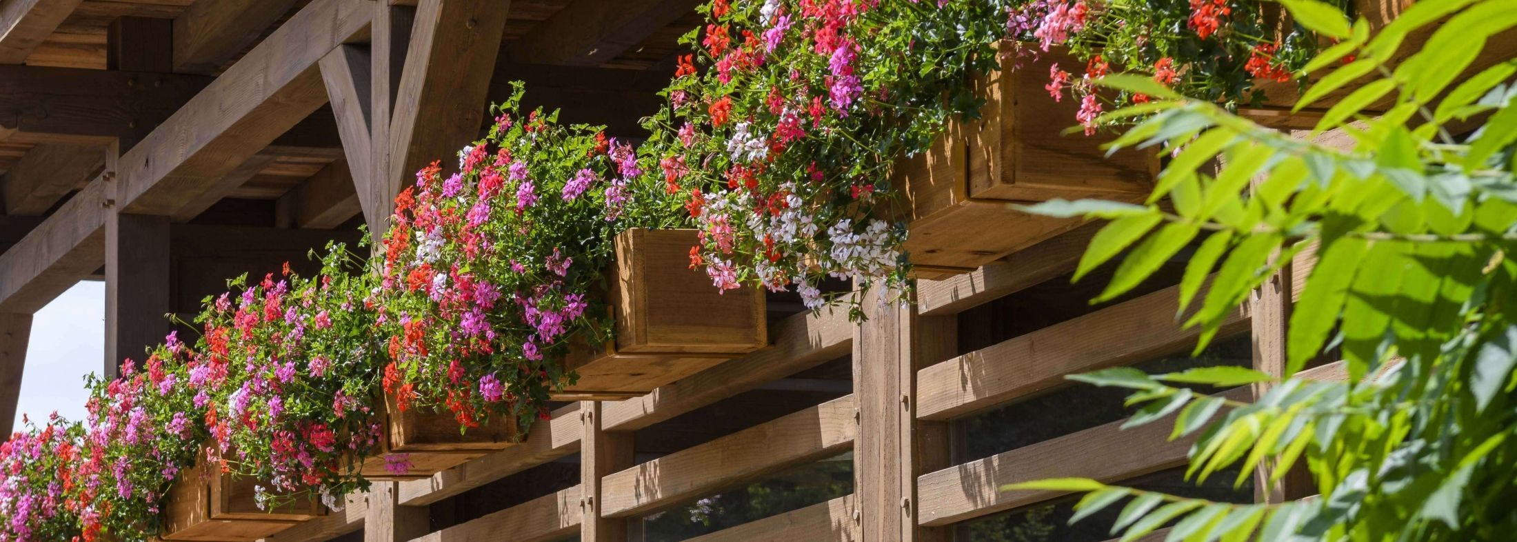 Flower-covered wooden façade of Les Bas Rupts hotel in Gérardmer, summer