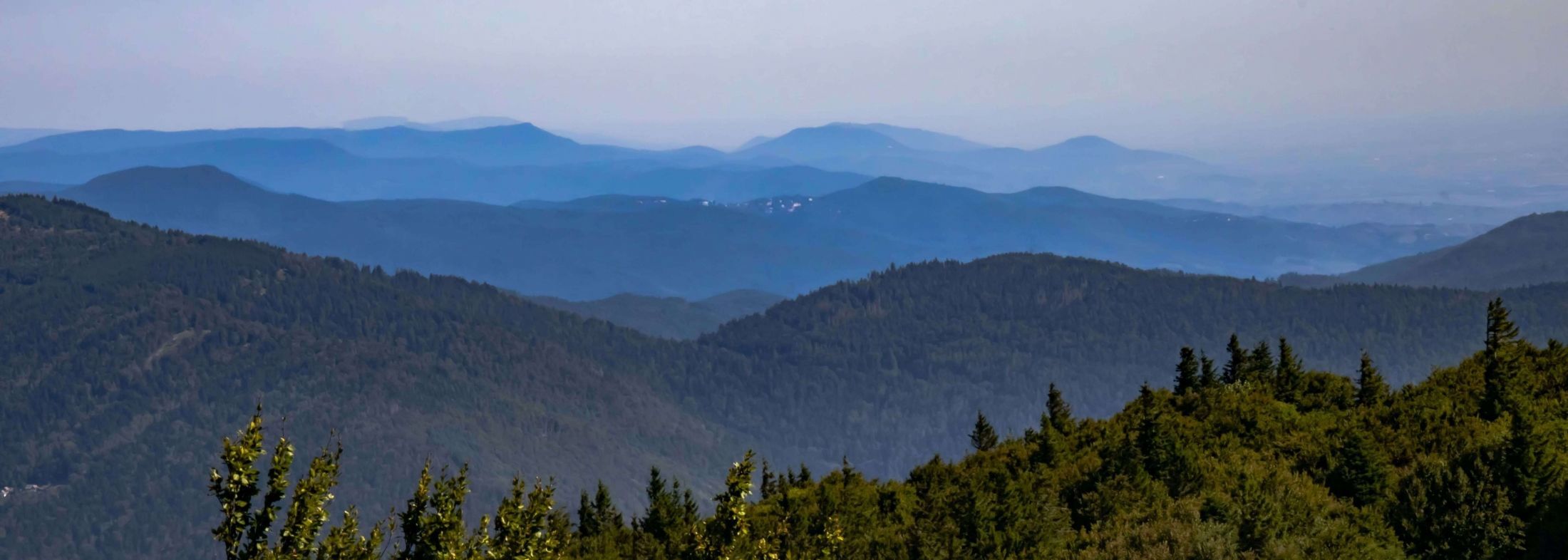 Panoramic view of the forested mountains in the Ballons des Vosges Nature Park
