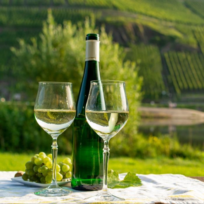 White wine glasses and bottle in an Alsatian vineyard, with green grapes in the background