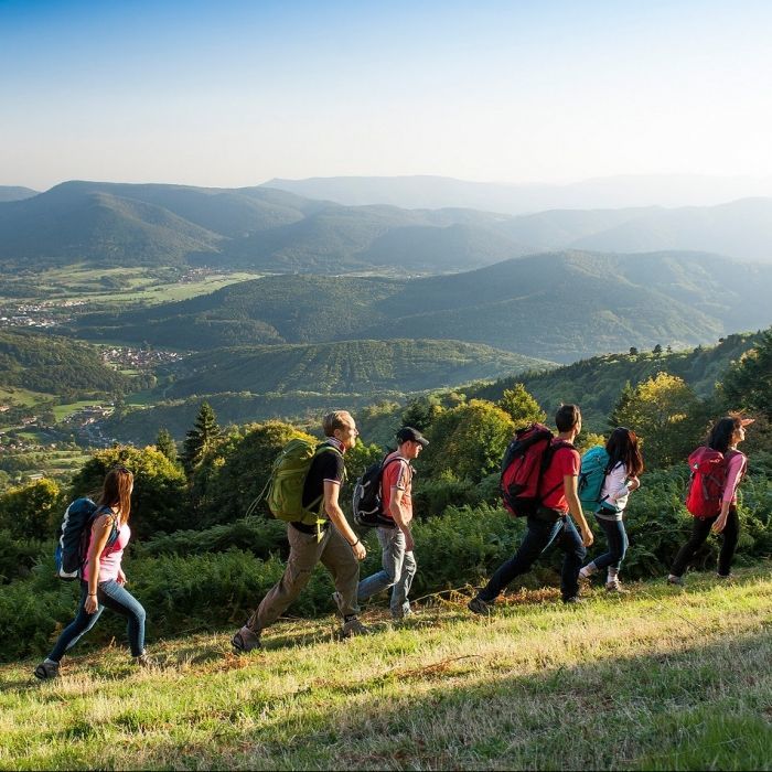 Hiking on the Route des Crêtes with panoramic views over the Vosges mountains