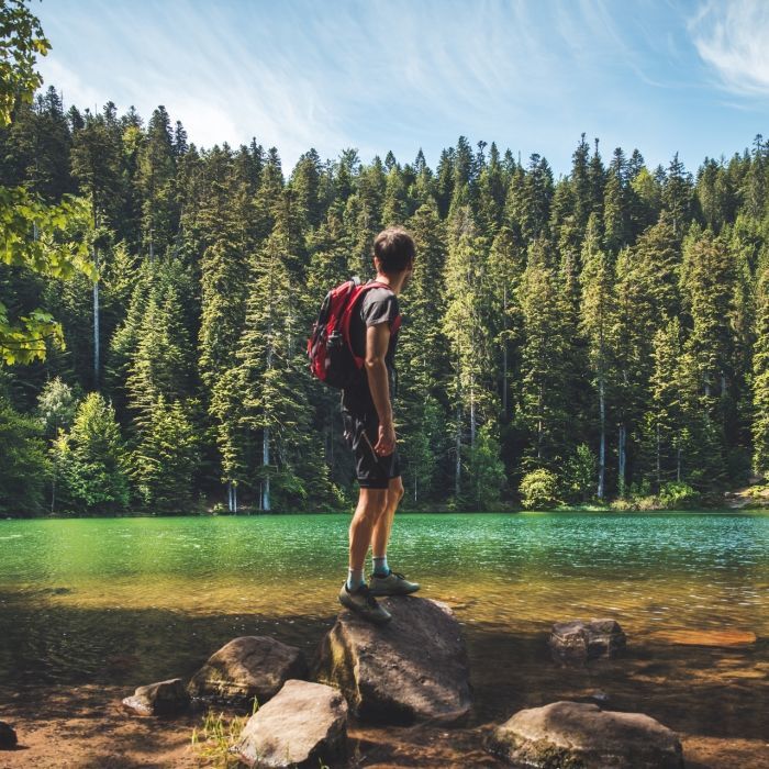 Randonnée dans la forêt vosgienne au départ de l’hôtel Les Bas Rupts, au bord d’un lac de montagne