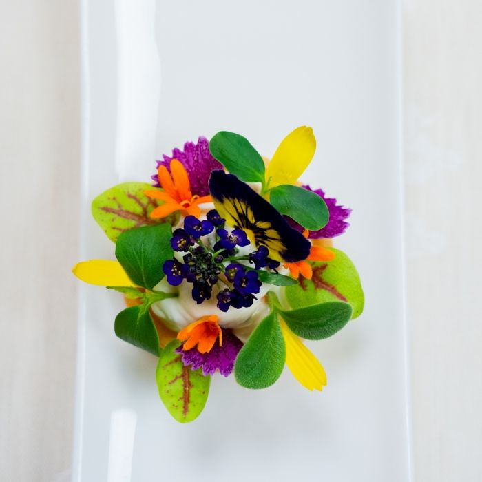 Présentation raffinée de fleurs comestibles, reflet de la cuisine du terroir au restaurant Les Bas Rupts