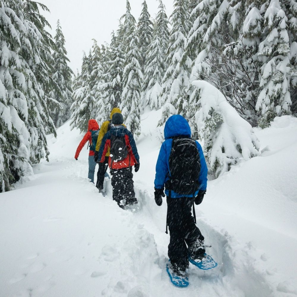 Snowshoeing in the snowy Vosges forest, a winter activity near Les Bas Rupts hotel