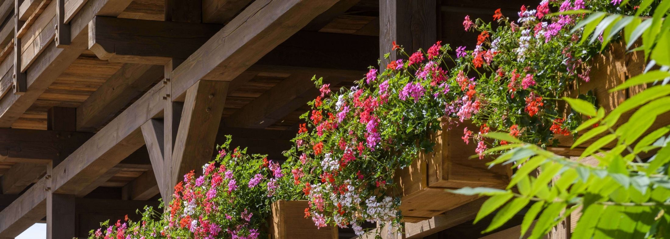 Flowered wooden balcony of Les Bas Rupts hotel in Gérardmer, reflecting the chalet spirit and elegant mountain style