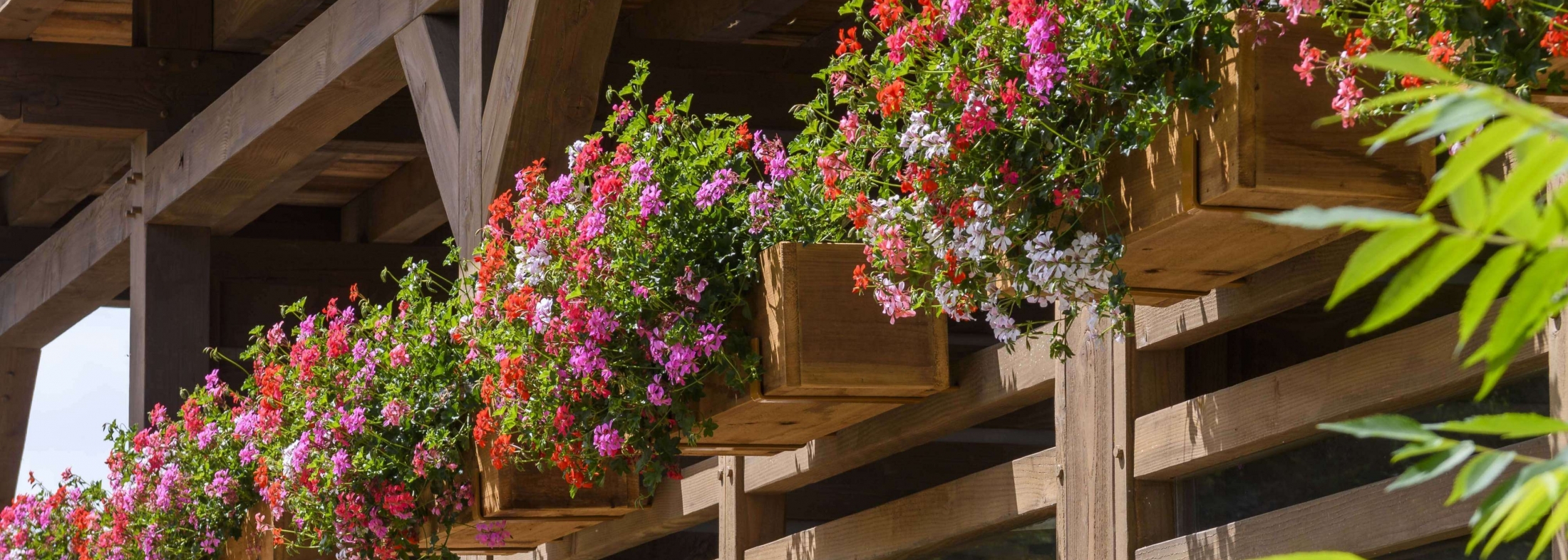 Balcon fleuri en bois de l&rsquo;h&ocirc;tel Les Bas Rupts &agrave; G&eacute;rardmer, reflet de l&rsquo;esprit chalet et du style montagnard &eacute;l&eacute;gant